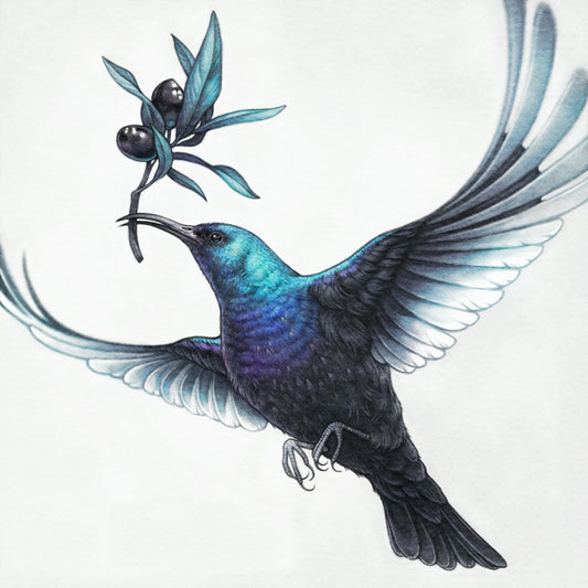 'Sunbird' by Anna Dittmann